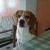 francisco (@bogota2171) Twitter profile photo