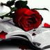 Abeer (@am30a) Twitter profile photo