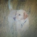 barb hoffman - @41_barb - Twitter