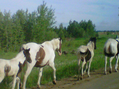 mitchellgillis's profile picture. 