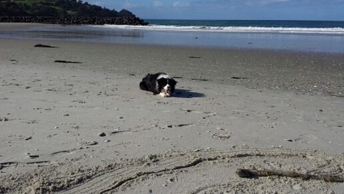 AnneMcdonald63's profile picture. mother,wife,daughter,friend,employee, nurse,sister