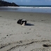 Anne Brebner, (@annemcdonald63) Twitter profile photo Anne Brebner, (@annemcdonald63) Twitter profile photo