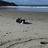 AnneMcdonald63's profile image