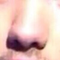 liam's nose (@real_liam_nose) 's Twitter Profile