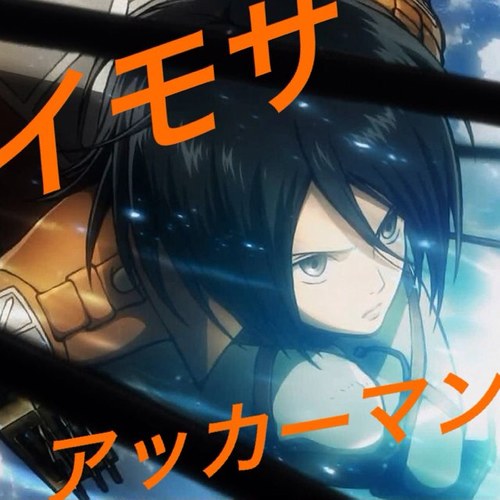 mikasa2pkcs622's profile picture. 進撃の巨人(´･Д･)」
