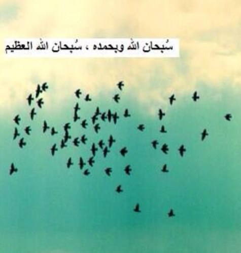 # ' شاء الله وَرضيت بِما شاء فَـ الحمدُ لِله .. :) # محذوف