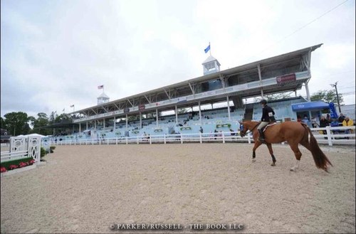 queen of the equitation but love the hunters all horse talk -- zone 5 ♦