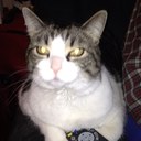 Kathy Cogan - @Kathy_Cogan - Twitter