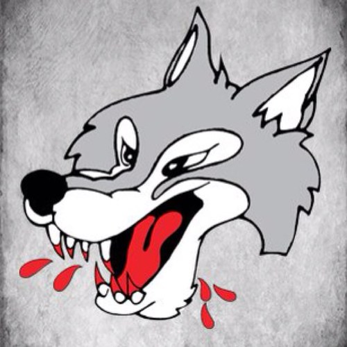 wolves training and development