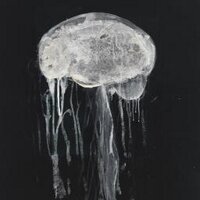 Neurochatter (@neurochatter) 's Twitter Profile