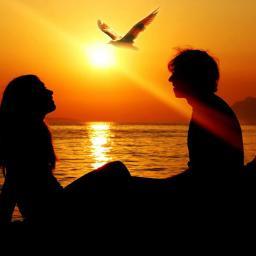 pengoyaksunyi's profile picture. 