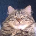 Isabelle germain - @IsamoiI - Twitter