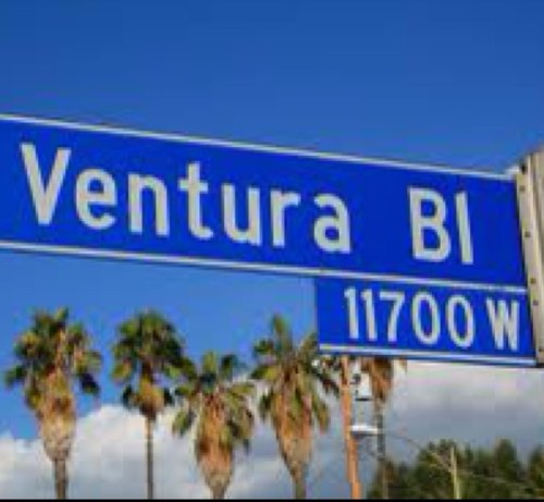 Tweets directly from the best Valley in the world.