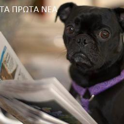 taprotanea's profile picture. Για ενημέρωση και όχι μόνο-πάντα follow back  σελίδα facebook https://t.co/EpLFac0x21