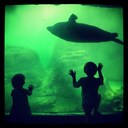 Leslie Nix - @Leslienix12 - Twitter