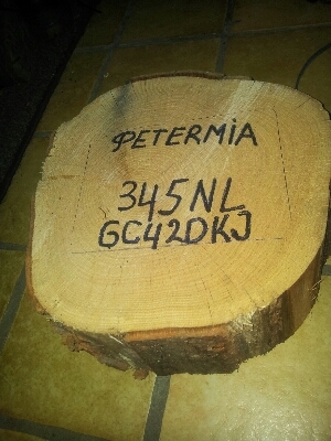 Deze account gebruiken we voor het geocachen. Zowel Peter als Mia tweeten hier. 
Je kan dit account ook gebruiken als hulplijn voor onze caches.
