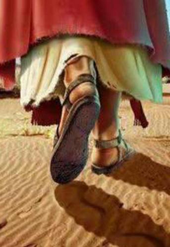 psicsuzan's profile picture. ACOMPAÑAMIENTO TERAPEUTICO EN EL ARTE DE COLABORAR CON LA VIDA