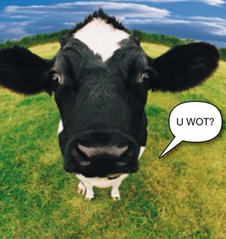 LonelyInsecure's profile picture. 