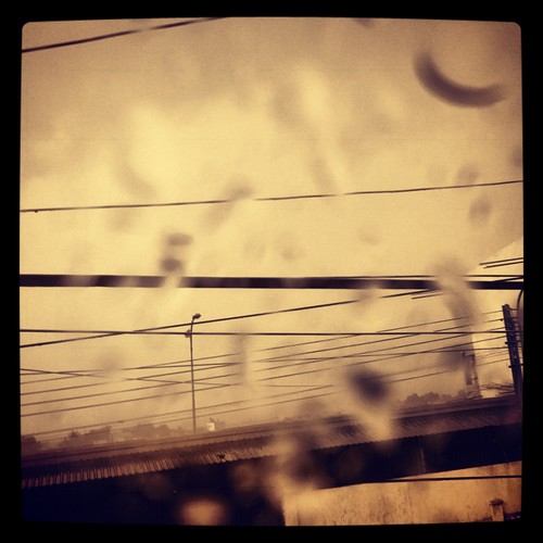 wellscorpio's profile picture. 