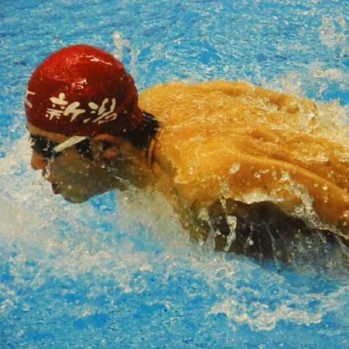 DASH swim team ダッシュ選手コースブログhttps://t.co/cJBVR2LV0W
