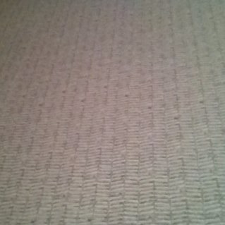 SoeSahebzad's profile picture. niet meer actief op twitter