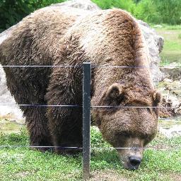 Steve_B45's profile picture. 