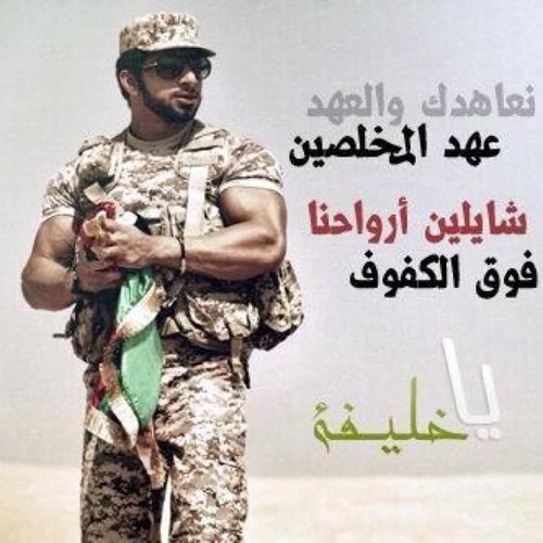 الامارات بلادي وخليفة بن زايد قائدي