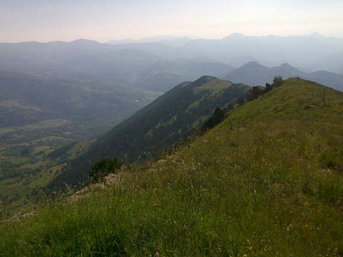 Ester_LopezR's profile picture. Comunicació Ecologia Urbana