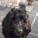 Jonathan Bloomer - @ponbloomer - Twitter