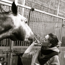 alice2chastenet's profile picture. Amoureuse des chevaux, Amoureuse de la Vie