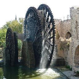 Talhat1Talhat11's profile picture. 