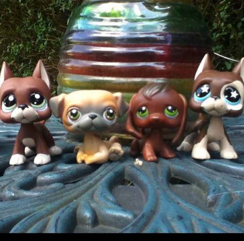 LPSwolfie's profile picture. Hey! I'm Luta Celestice! I love to be happy and hang out with my friends, I'm not exactly a wolf, I'm only half but, I follow back!