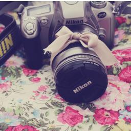 DestinyGriffths's profile picture. Say,
Won't you say forever stay,
If you stay forever, hey
We can stay forever young (Here's To Never Growing Up)
Avril Lavigne