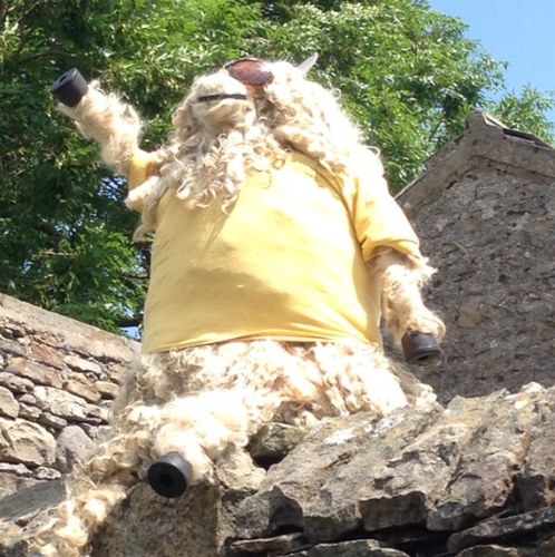 SheepInTweet's profile picture. I am a sheep who is lost and separated from my friends, please come and find them for me. #LostSheepYellowJerseys