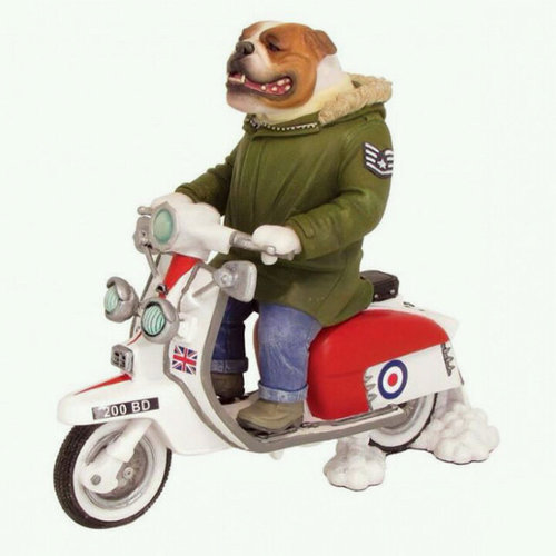 Grahamabetts's profile picture. Scooter & motorbike servicing. Classic to modern. Mot work engine tuning race & road rebores and paint work