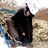 YeliCit_'s profile image