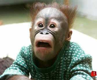 13jose79's profile picture. 