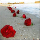 Beatriz Elisa Reyna  - @BeataElisa - Twitter