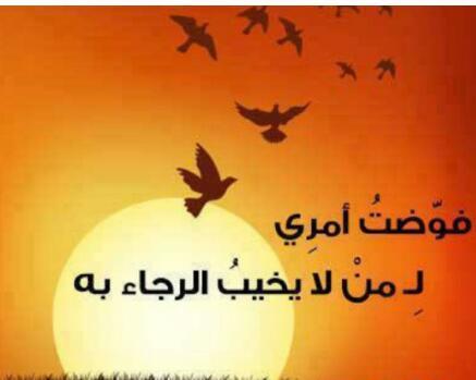 algore3031's profile picture. 