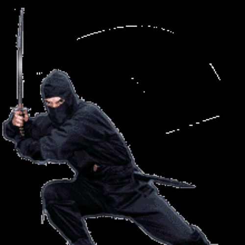 _Hidden_Ninja's profile picture. I'm a ninja... You won't see me! Or if you do... You will die! 
((RP/ OOC))