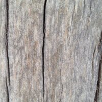 Rich White (@chardwhite) 's Twitter Profile