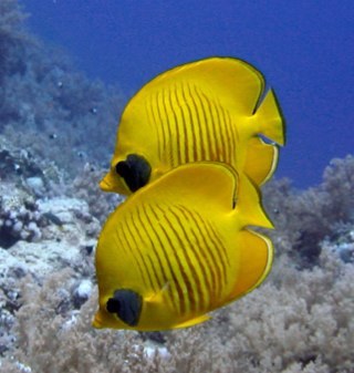 philbaker75's profile picture. 