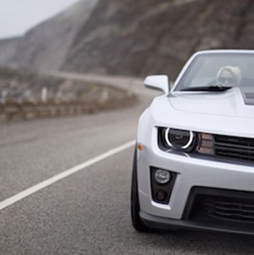 jifrz26's profile picture. 