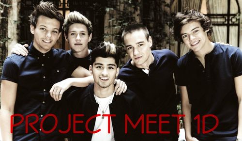 We're a catalan Directioners who want to meet her idols, and we'll make the impossible to realize it