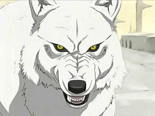 zainteresowania:śpiewanie,taniec,rysowanie,pisanie opowiadań lubię:klub winx,wolf's rain(anime),zwierzęta(szczególnie dzikie i wilki)zielony i miętowy,słodycze