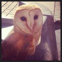 Stacy Stark - @stacychannel1 - Twitter