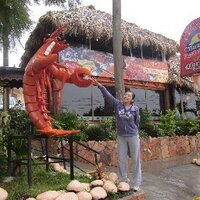 Sidury Christiansen 🌺 (@sidury) 's Twitter Profile