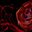 Elham Abdullh (@0509198983sunny) Twitter