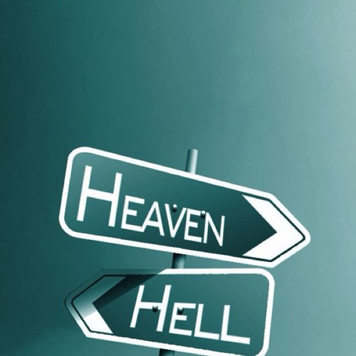 ferteb50's profile picture. 