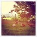 Marianne Stapleton (@maristapes) Twitter profile photo Marianne Stapleton (@maristapes) Twitter profile photo